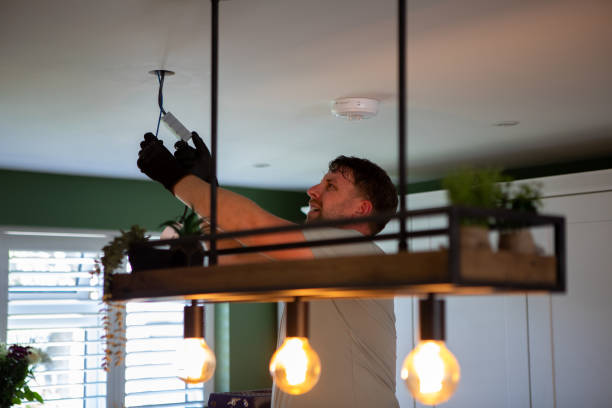 Best Electrical System Inspection  in Ellicott City, MD